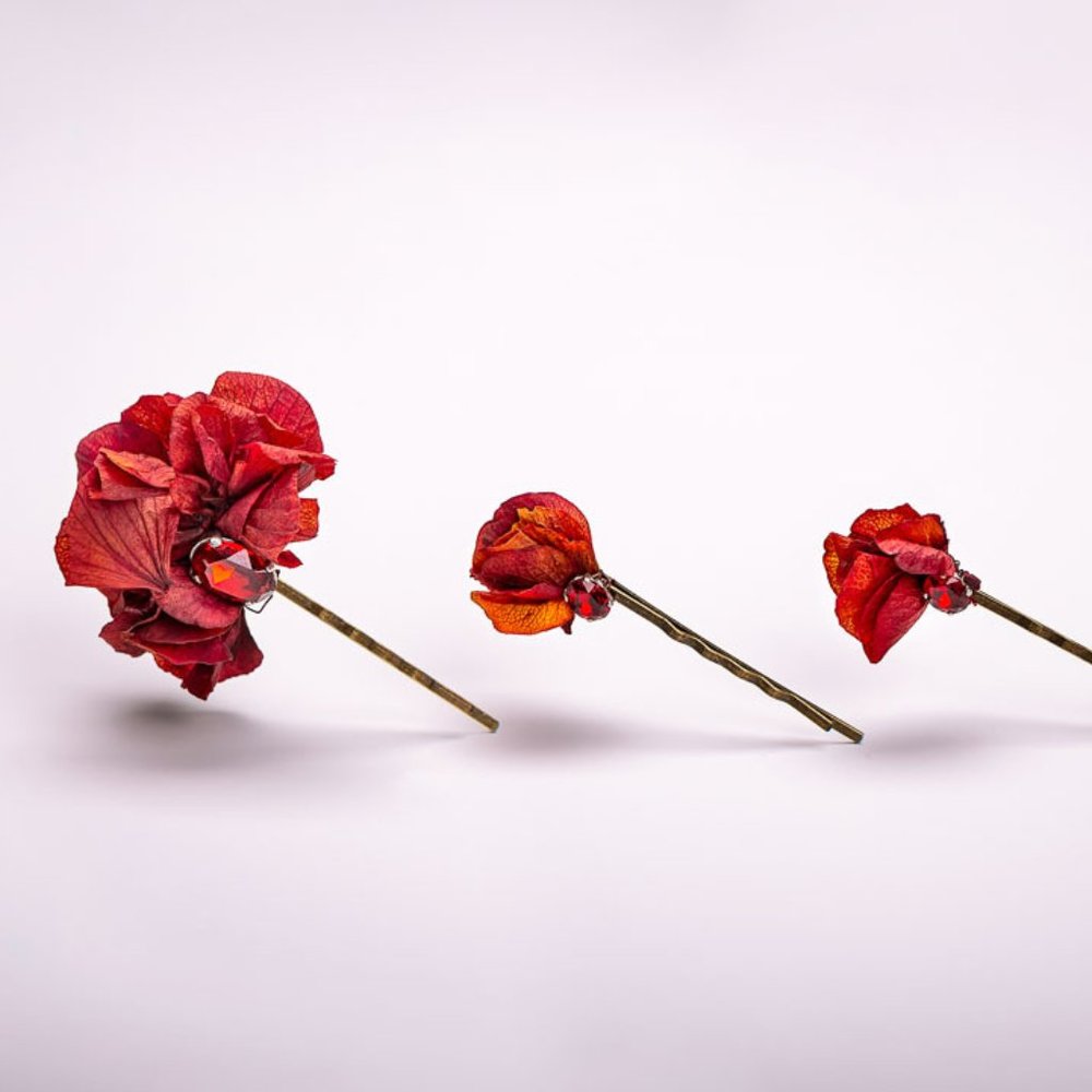 NIB LES COURONNES DE VICTOIRE  Ana Hairpins